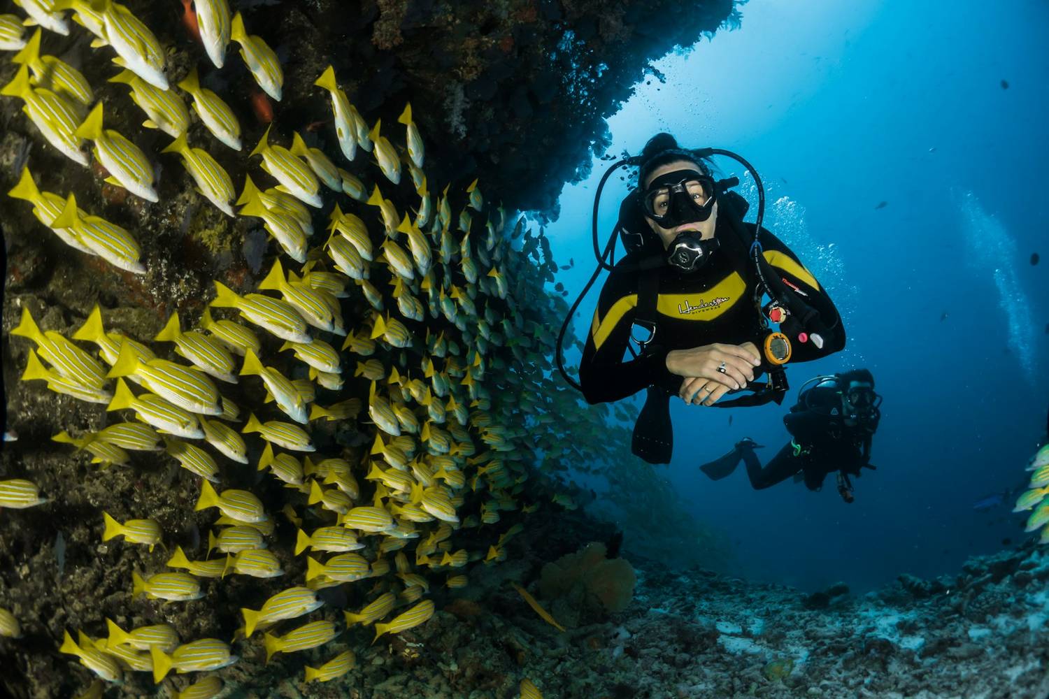 A scuba diver over a coral reef