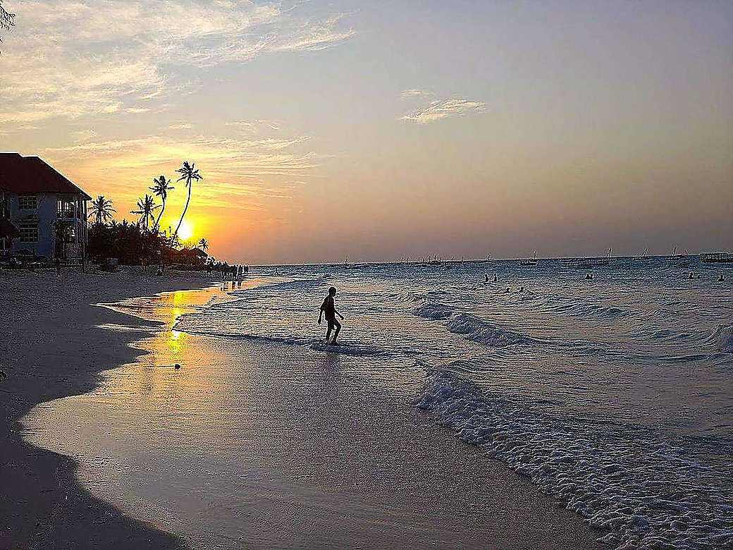 Bright palm-lined Zanzibar beach